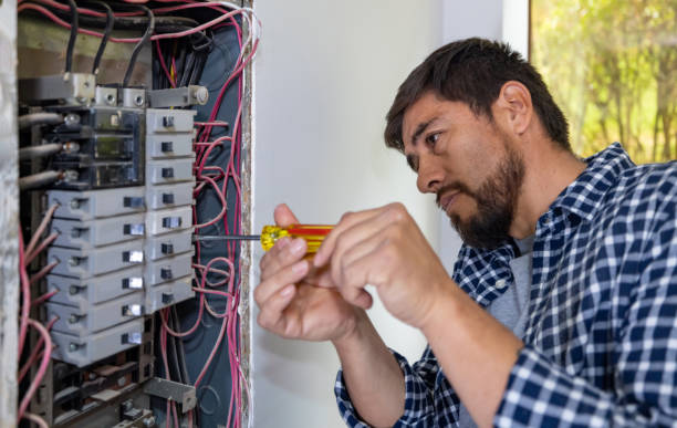 Best Electrical Upgrades for Homes  in Rolla, ND